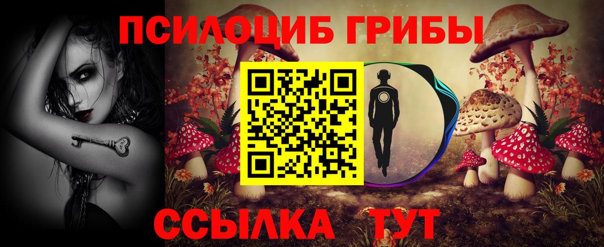 Галлюциногенные грибы Psilocybine cubensis  Вход с VPN  Котлас  Псилоцибиновые грибы MAGIC MUSHROOMS 