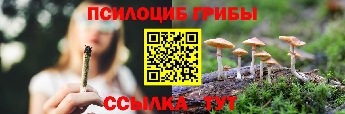 Псилоцибиновые грибы ЛСД Котлас